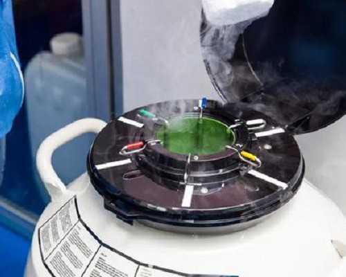 合肥借卵子包男孩,合肥试管婴儿哪家医院最好？国内可以选择试管婴儿性