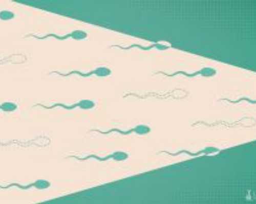 合肥代孕站哪家靠谱,合肥安医大试管成功率高吗？一次试管能成功吗？