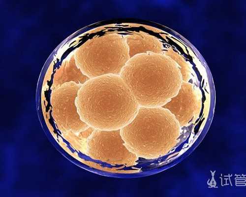 卵巢囊肿良恶性的鉴别？如何判断卵巢囊肿是良性的还