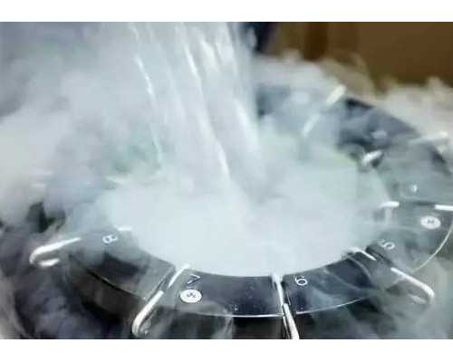 合肥代孕龙凤胎案案例,试管婴儿实验室步骤表有吗？具体分几步？_冻胚移植