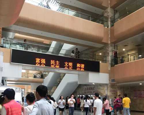 孕早期保胎必看❗胎囊|卵黄囊|胎芽胎心详解 助孕代怀价格