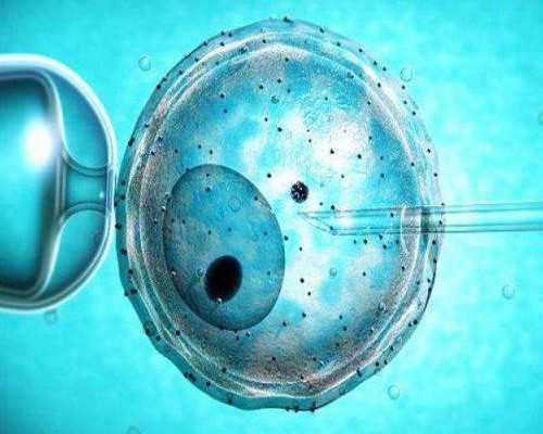 合肥代孕哪家强,合肥安医试管婴儿怎么样？试管婴儿跟普通婴儿有差别