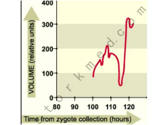 合肥找人供卵代生,合肥供卵试管