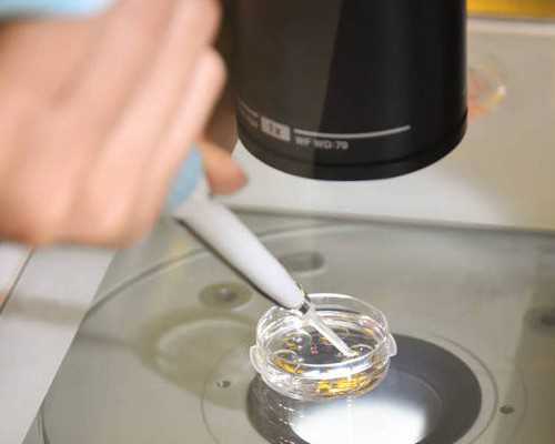 合肥代孕需要血型要求吗,试管婴儿移植后失败了，14天抽血，血值4点3，医生说