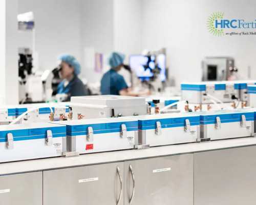 合肥什么地方请人代孕,，试管妊娠北京试管供卵公司排名-上海供卵试管生子多