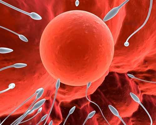 合肥正规医院可以做代孕吗,2023
广东三代试管大概费用，试管助孕费用攻略-上