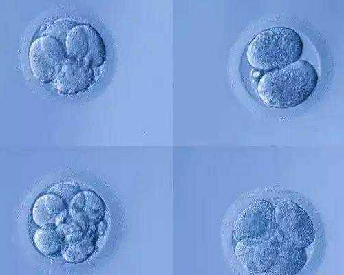 合肥试管代孕哪个医院最好,什么情况才可以做试管，一般人都可以做吗？-单侧