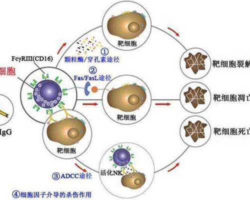 合肥怎么样的人可以代孕,北京试管成功率排行，成功率有多高_医院让今天看囊