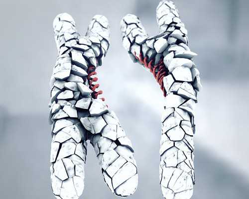 试管婴儿一般移植多久可以看见胎芽胎心